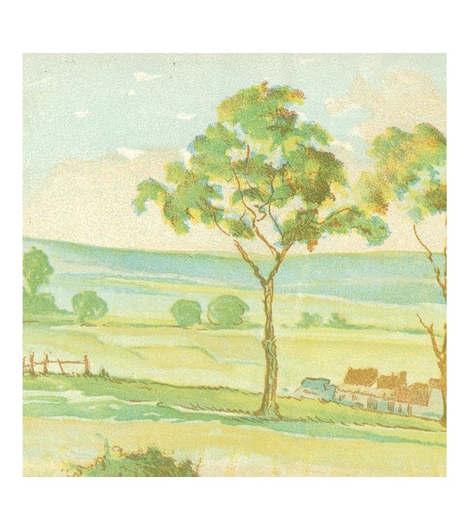 Campagne Empire (sans barbelés) (l. 60 x h. 11 cm)