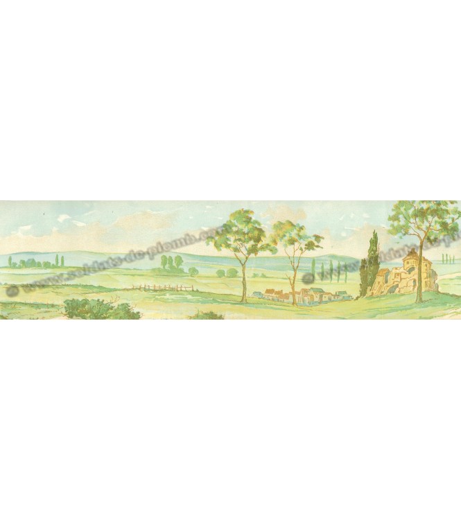 Campagne Empire (sans barbelés) (l. 60 x h. 6 cm)