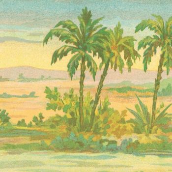 Afrique (palmiers) (l. 62 x h. 10 cm)
