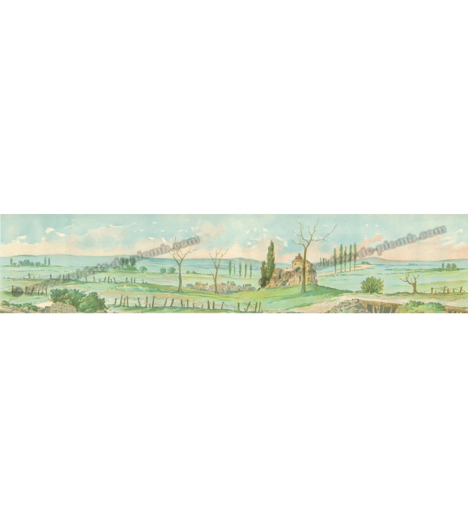 Campagne 14-18 (barbelés) (l. 60 x h. 9 cm)