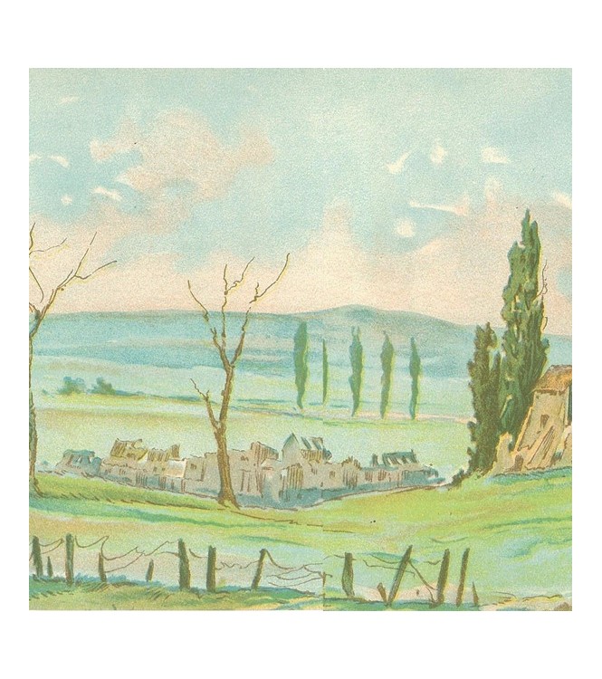 Campagne 14-18 (barbelés) (l. 60 x h. 9 cm)