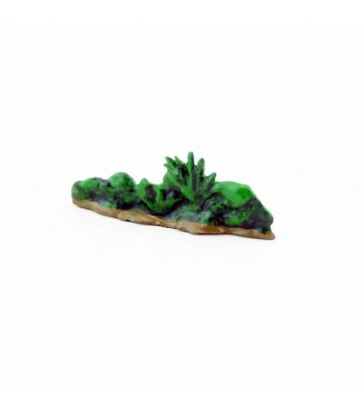 Touffe d'herbe