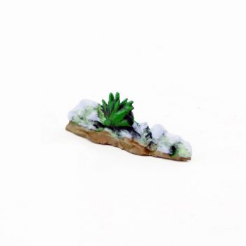 Touffe d'herbe