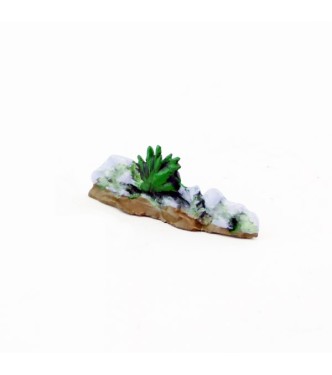 Touffe d'herbe