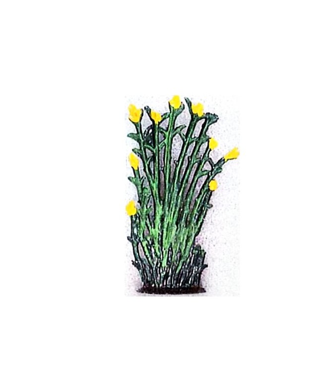 Petit roseaux fleurs jaune (h. 4 cm)