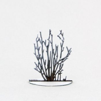 Petit arbuste églantier (Petit arbuste) hiver (h. 4,5 cm)