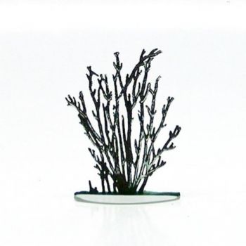 Petit arbuste églantier (Petit arbuste) hiver (h. 6 cm)
