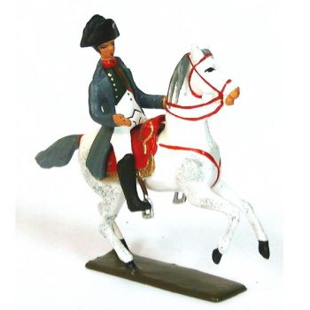 Napoléon 1er sur cheval cabré (1769-1821)