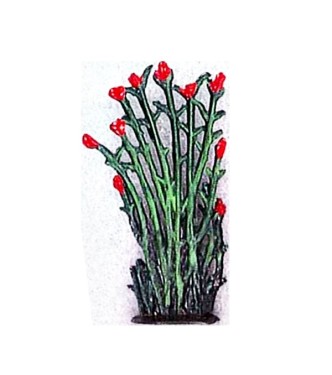 Petit roseaux fleurs rouge  (h. 4 cm)