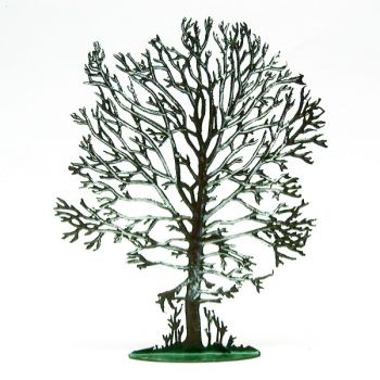 Chêne hiver (h. 13 cm)