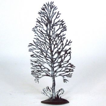 Cyprès chauve hiver (h. 13 cm)