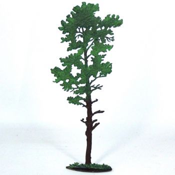 Pin Sylvestre
