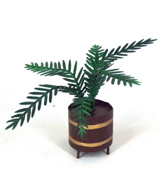 Dattier en pot en volume