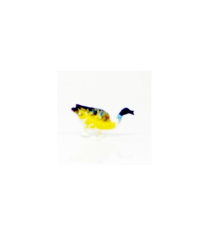 Canard ailes jaunes