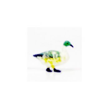 Canard blanc et vert