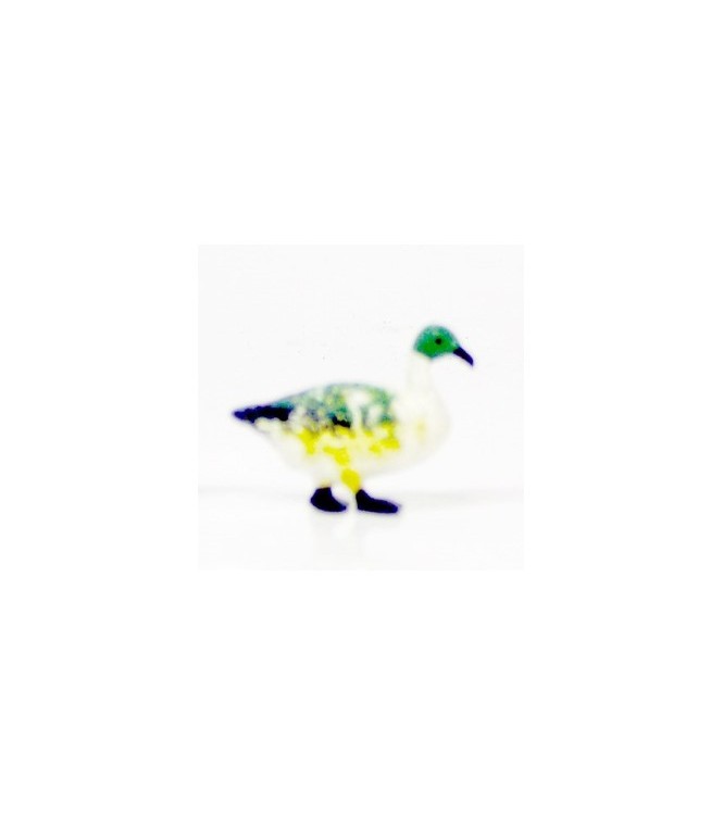 Canard blanc et vert