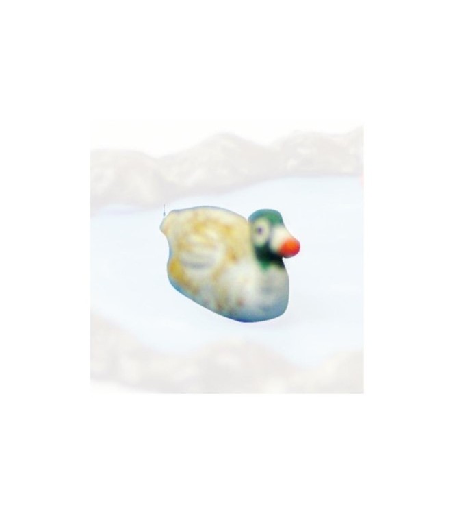 Canard nageant tête verte