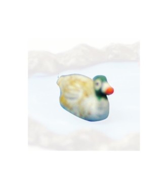 Canard nageant tête verte
