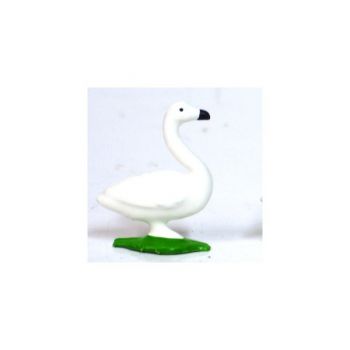 Cygne blanc bec noir