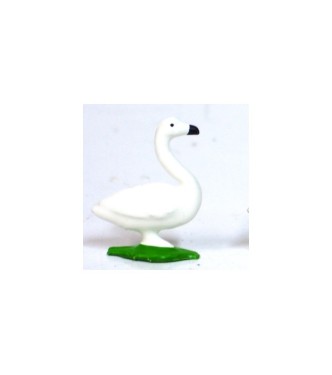 Cygne blanc bec noir