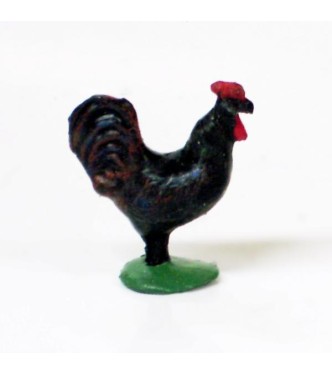 Coq noir