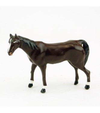 Cheval marron (bai)