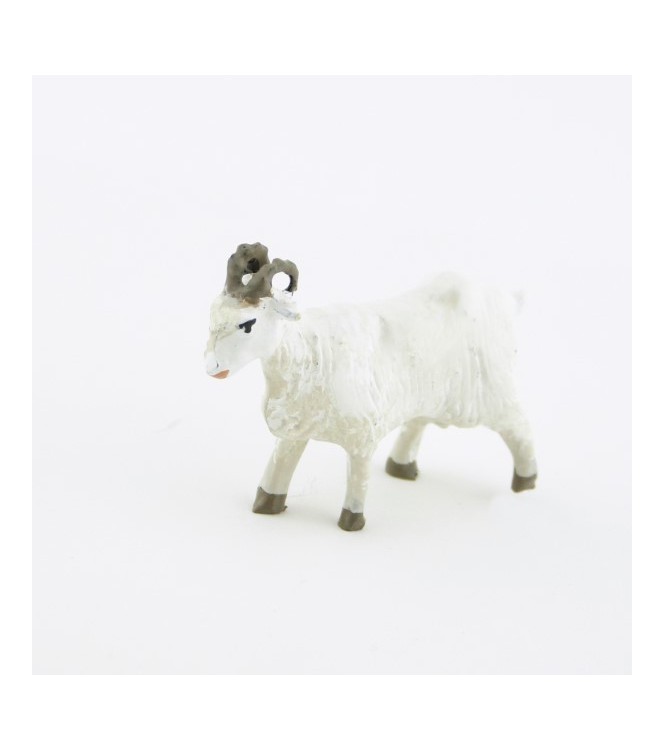 Chèvre blanche