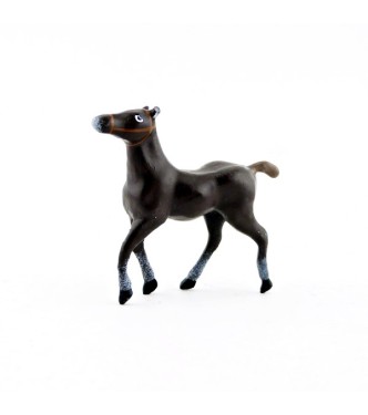 Poulain marron