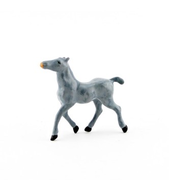 Poulain gris