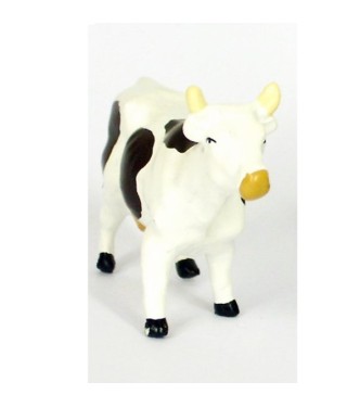 Vache blanche et noire, debout