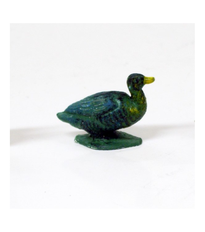 Canard vert