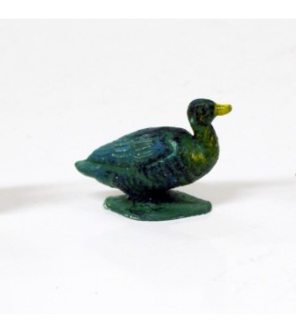Canard vert