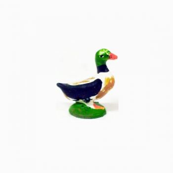 Canard multicolore