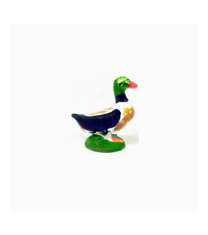 Canard multicolore