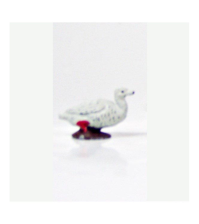 Canard blanc