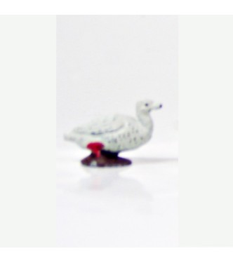 Canard blanc