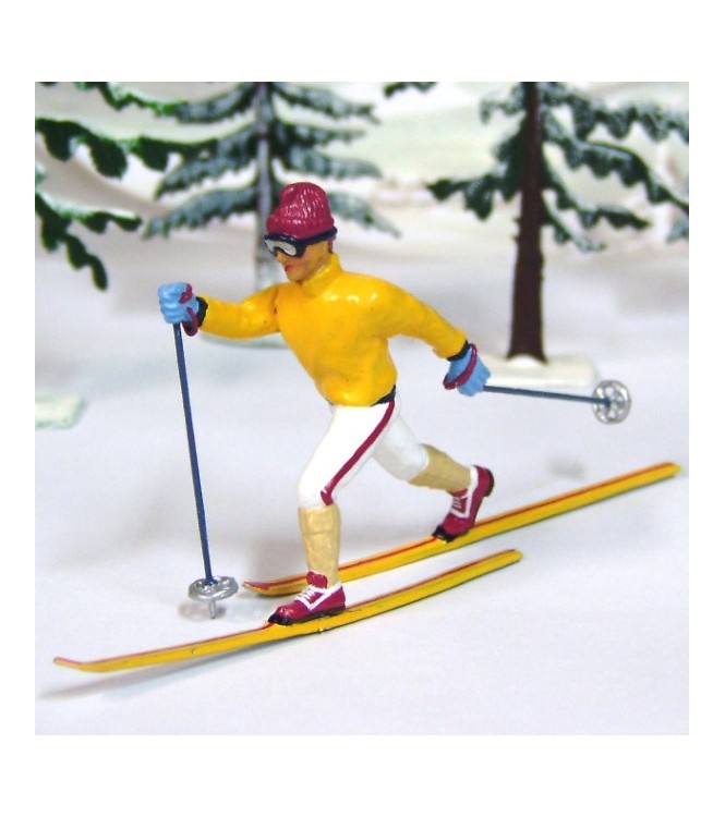 Skieur de fond