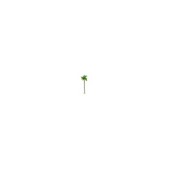 grand cocotier (h. 16 cm)