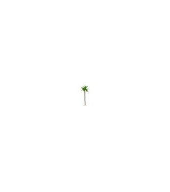 grand cocotier (h. 16 cm)