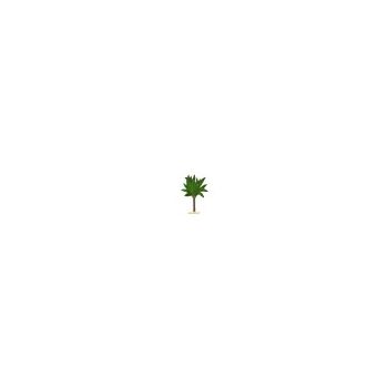 petit palmier (h. 8 cm)