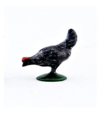 Poule noir picorant