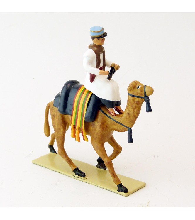 officier (français) de la Compagnie de Méharistes à dromadaires