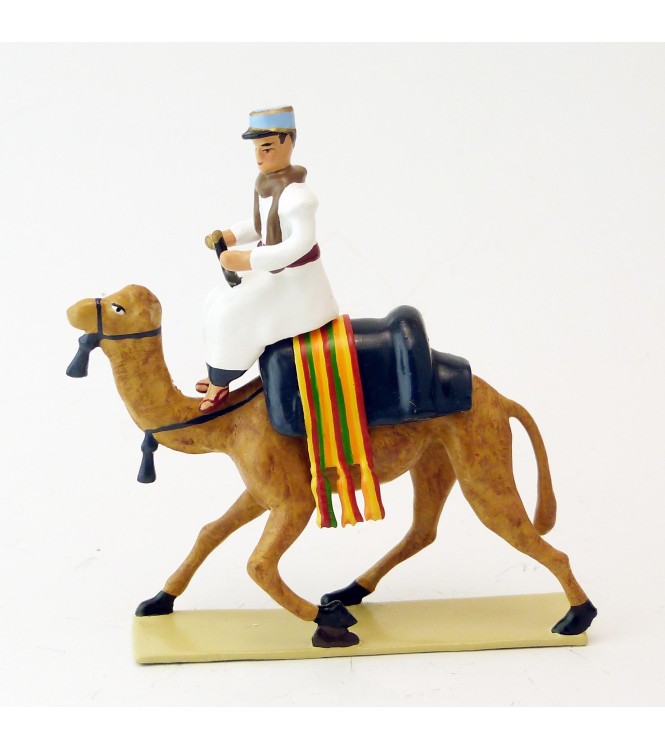 officier (français) de la Compagnie de Méharistes à dromadaires