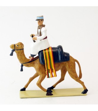 officier (français) de la Compagnie de Méharistes à dromadaires