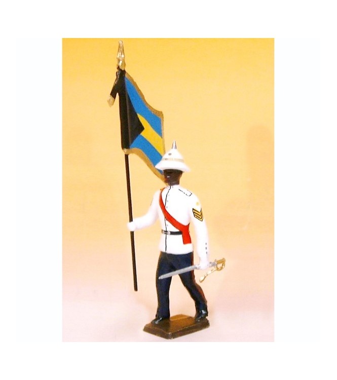 porte-drapeau des Bahamas Police Forces