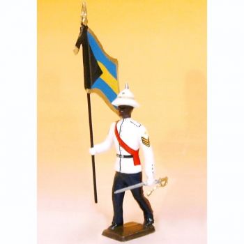 porte-drapeau des Bahamas Police Forces