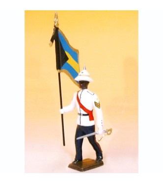 porte-drapeau des Bahamas Police Forces