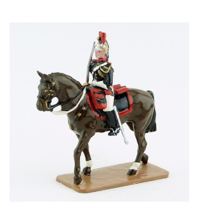 Cavalier sur cheval marron (bai) au pas - Garde Republicaine À Cheval (S.E.A)