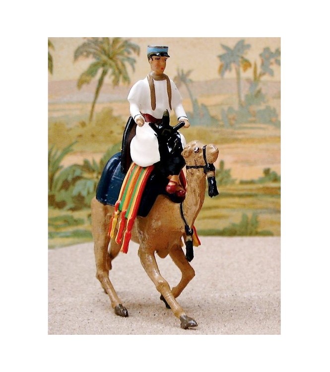 officier (français) de la Compagnie de Méharistes à dromadaires