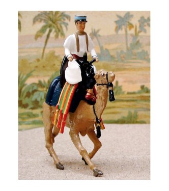 officier (français) de la Compagnie de Méharistes à dromadaires